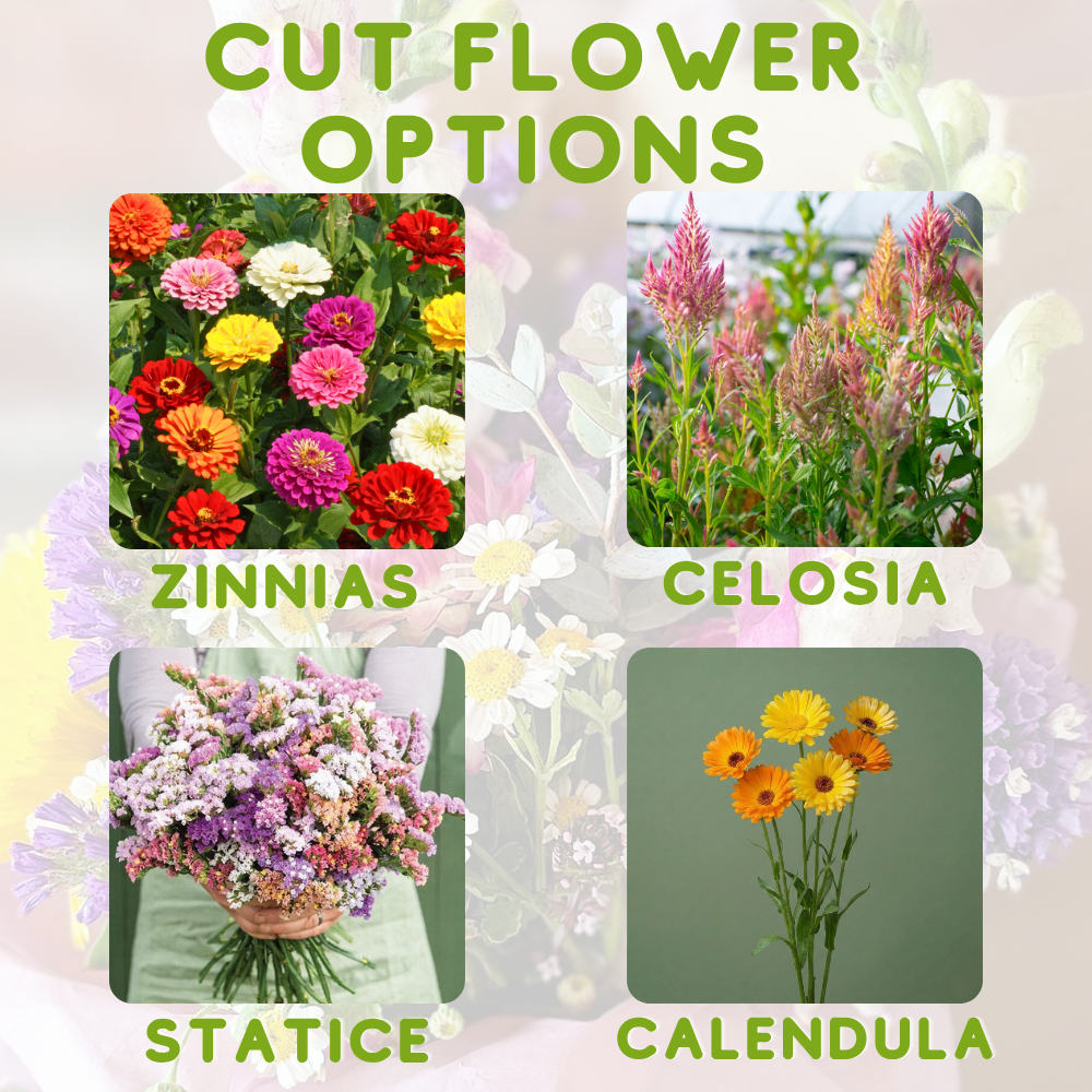Mother’s Day Garden Gift Bundle
