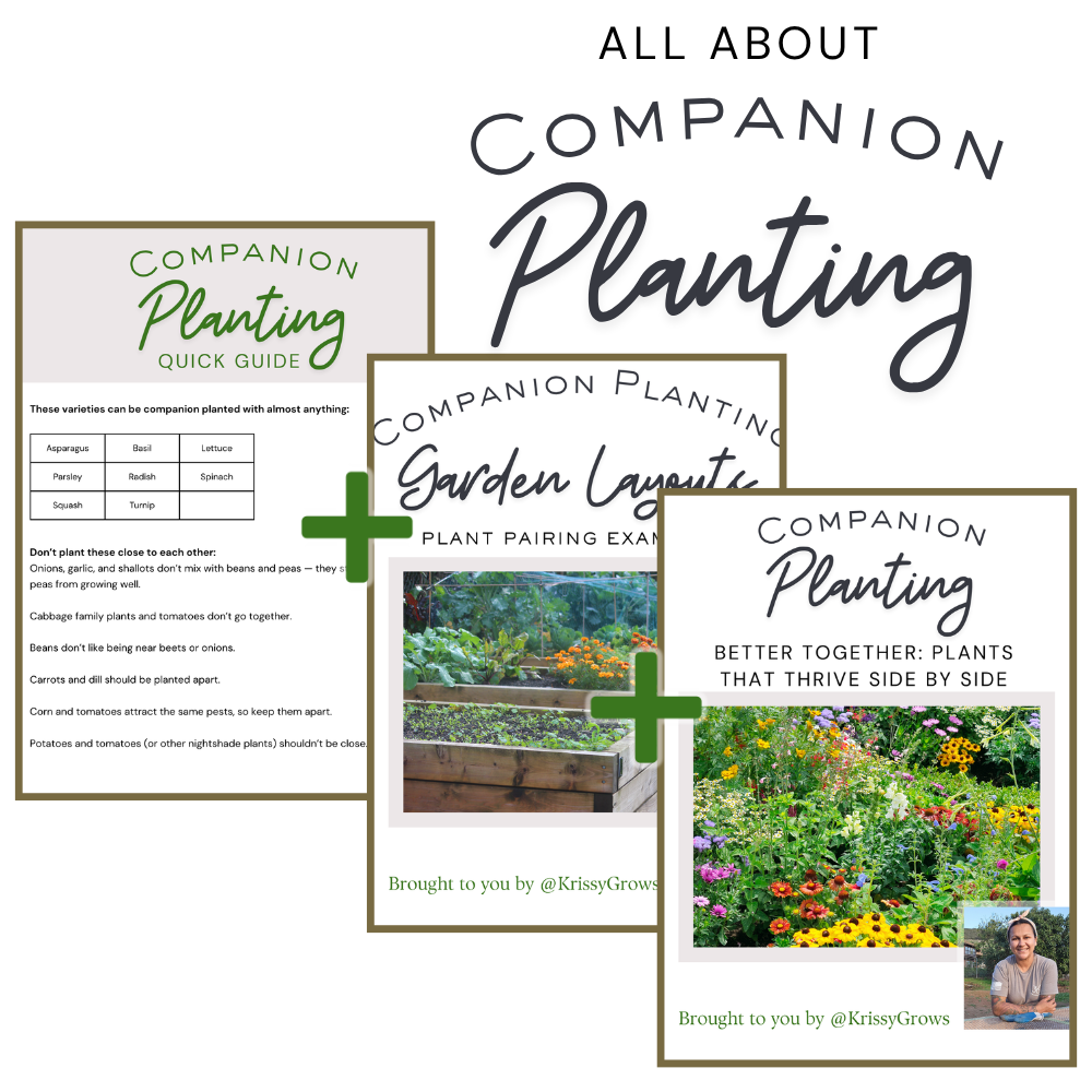All About Companion Planting