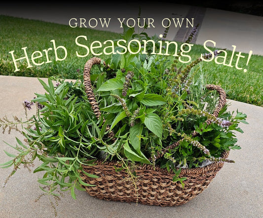 Grow Your Own Herb Seasoning Salt