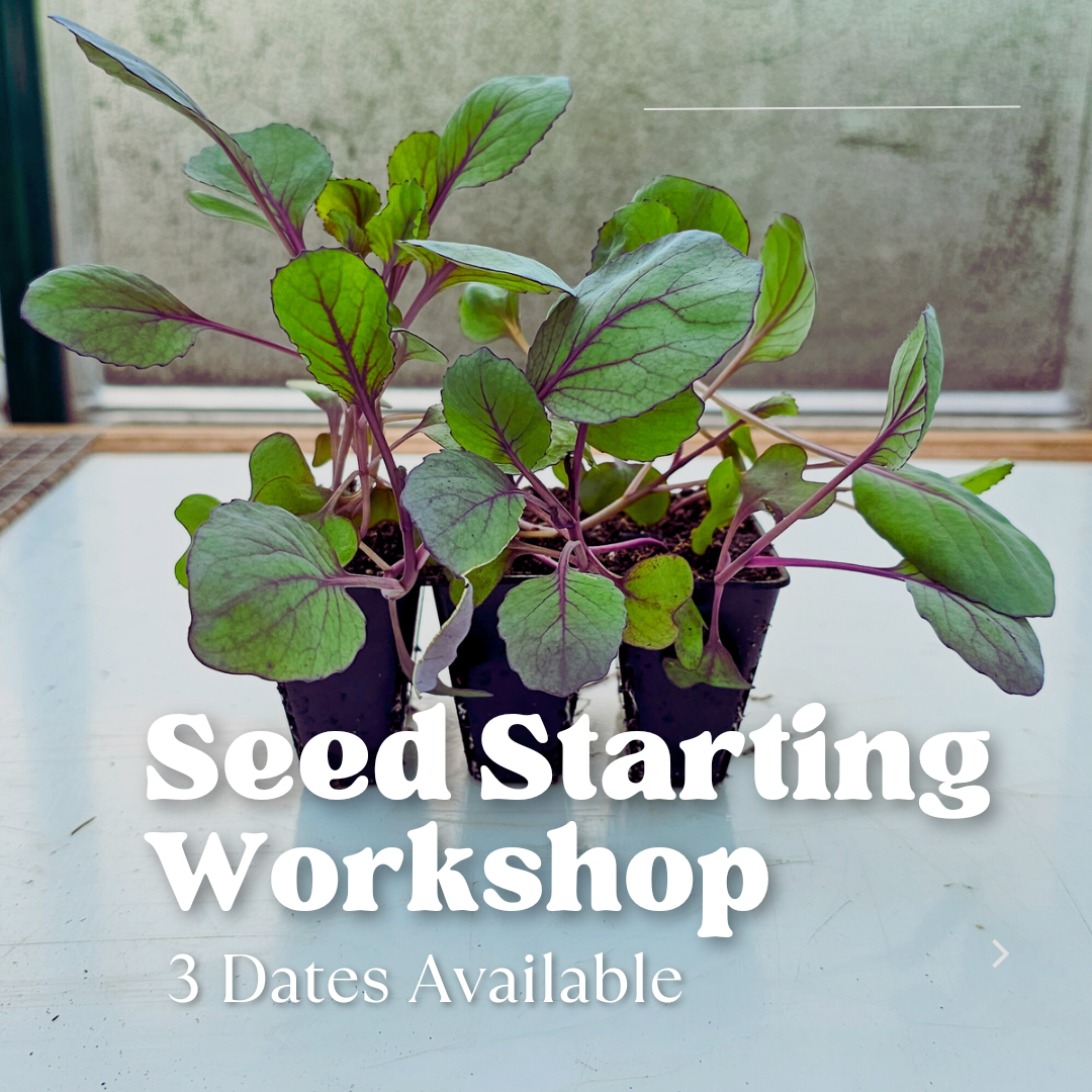 Seed Starting Workshop