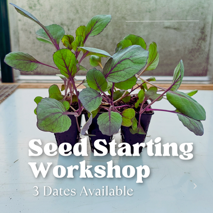 Seed Starting Workshop