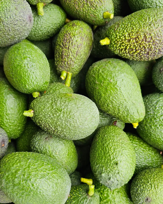 2025 Avocado Box