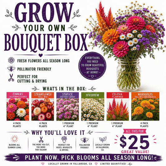 Grow Your Own Bouquet Box