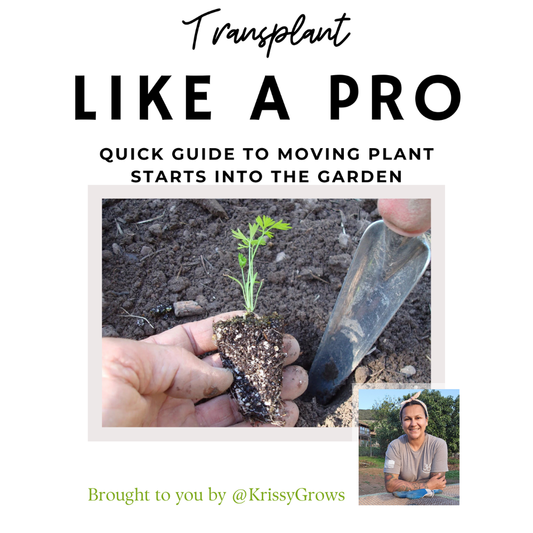 Transplant Like A Pro