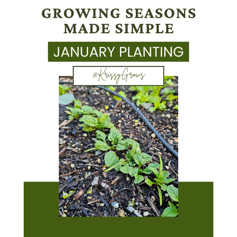 Growing Seasons Made Simple - January Seed Planting Guide