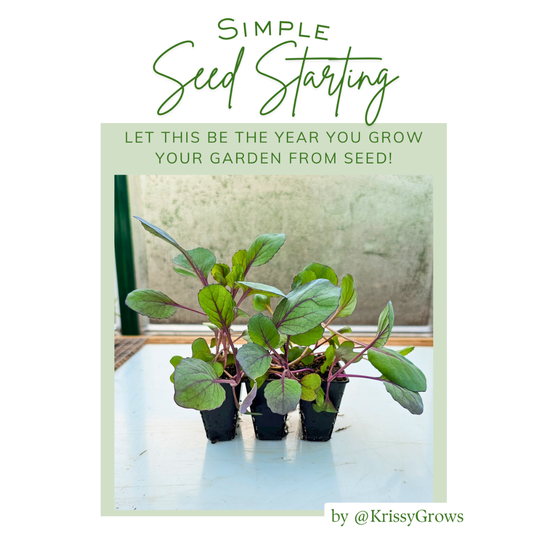 Simple Seed Starting