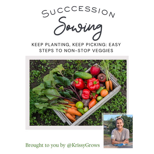 Succession Sowing: Fresh Veggies & Blooms All Season