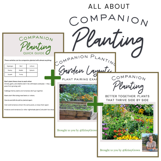 All About Companion Planting
