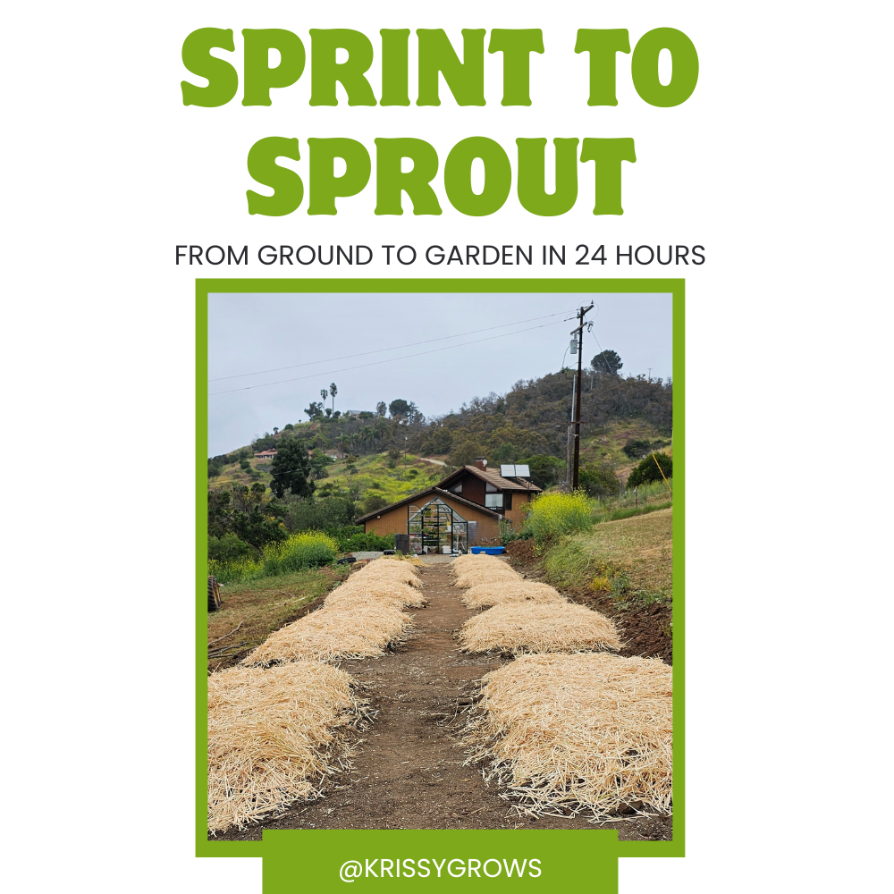All About In-Ground Gardening